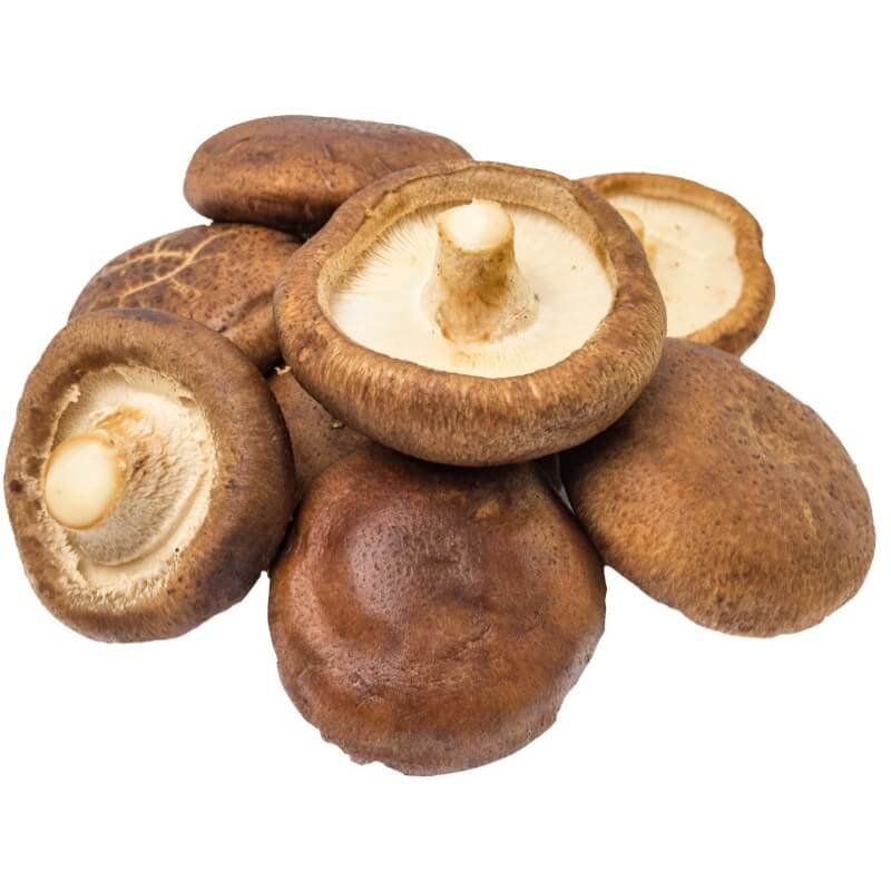 Organic Mushroom